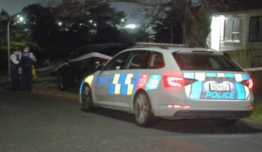 Teen allegedly attacks two in Auckland, one in critical condition