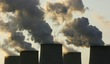 Dutch environmental group accuses New Zealand of breaching climate agreement