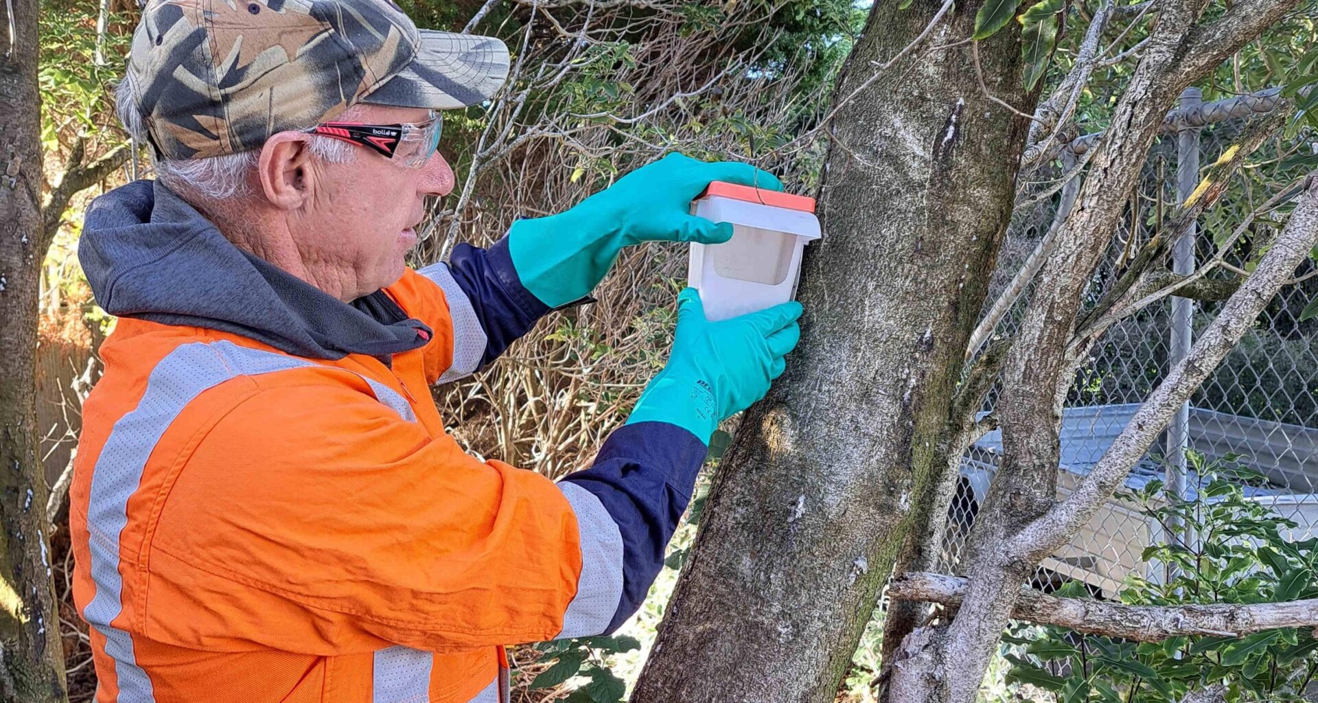‘Stepped up big time’: Possums running rife in Southland