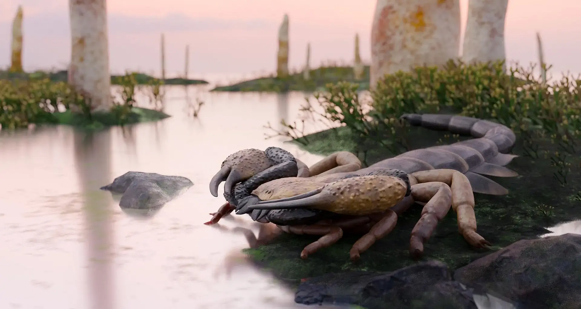 A coffee-table-size scorpion roamed Earth before forests existed