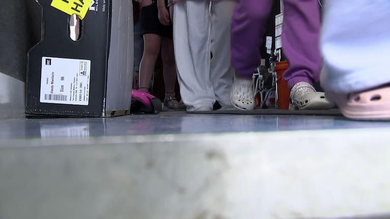 School children (file image).