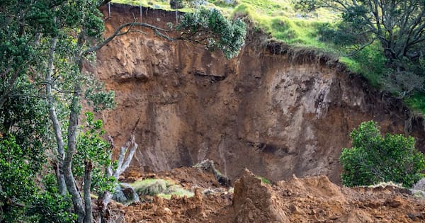 Tauranga council spends over $5m on fatal Mauao landslide response