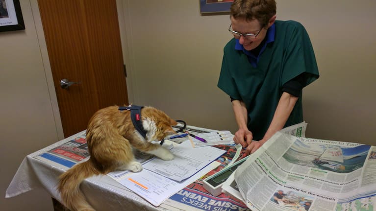 Skatty always got on well with the vet.