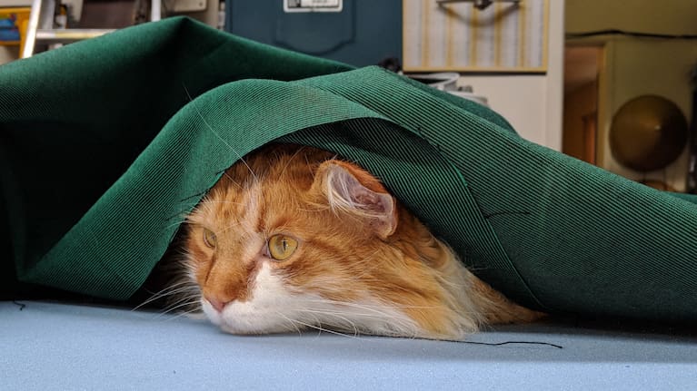 Skatty the Maine Coon cat pictured in various spots around Paul's 32-foot steel double ended junk rigged sailing boat