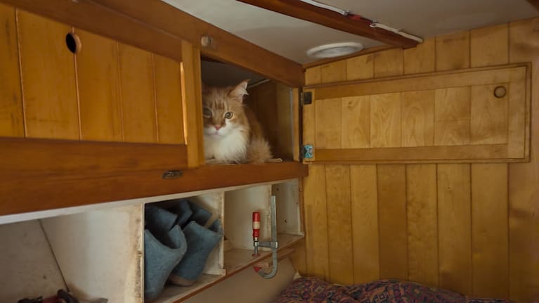Skatty the Maine Coon cat pictured in various spots around Paul's 32-foot steel double ended junk rigged sailing boat