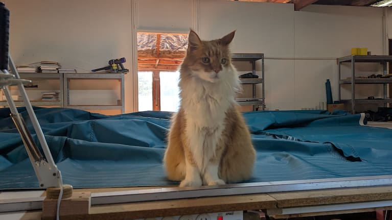 Skatty the Maine Coon cat pictured in various spots around Paul's 32-foot steel double ended junk rigged sailing boat