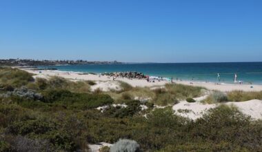 Search for shark and swimmer after fatal Perth attack