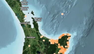 'Small shake': Magnitude 5.1 quake jolts North Island's East Coast