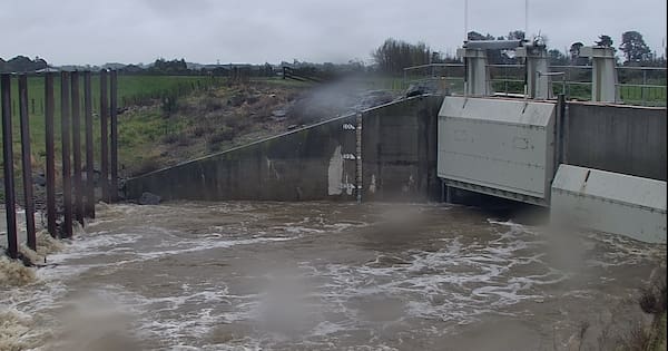 Floodgates activated, bridge on alert as heavy rain hits lower North