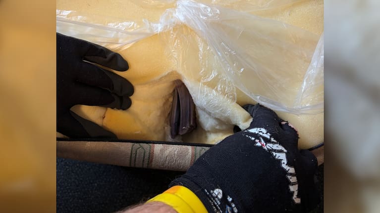 Thousands of dollar is cash were found stuffed in an ottoman.