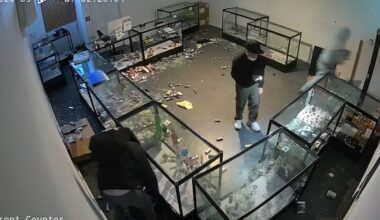 'Still stocking': Lower Hutt vape store robbed two days after opening