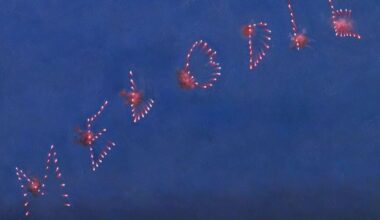 Slow Pulp: Melodie Album Review
