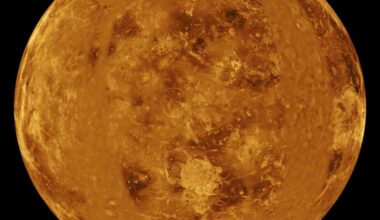 Venus May Have Had a Moon for Nearly 2 Billion Years—Before It Ate It