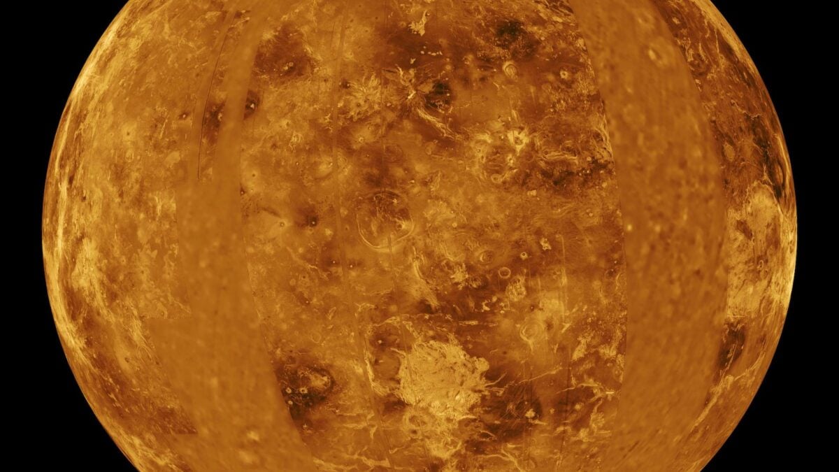Venus May Have Had a Moon for Nearly 2 Billion Years—Before It Ate It