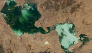 Ghostly green lakes merge in Australian outback after 2 years of heavy rain — Earth from space