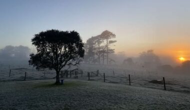 Late-season frosts to send much of North Island below zero overnight