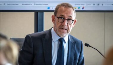 Mayor: 'Large chunks' of Deloitte report was written by AI
