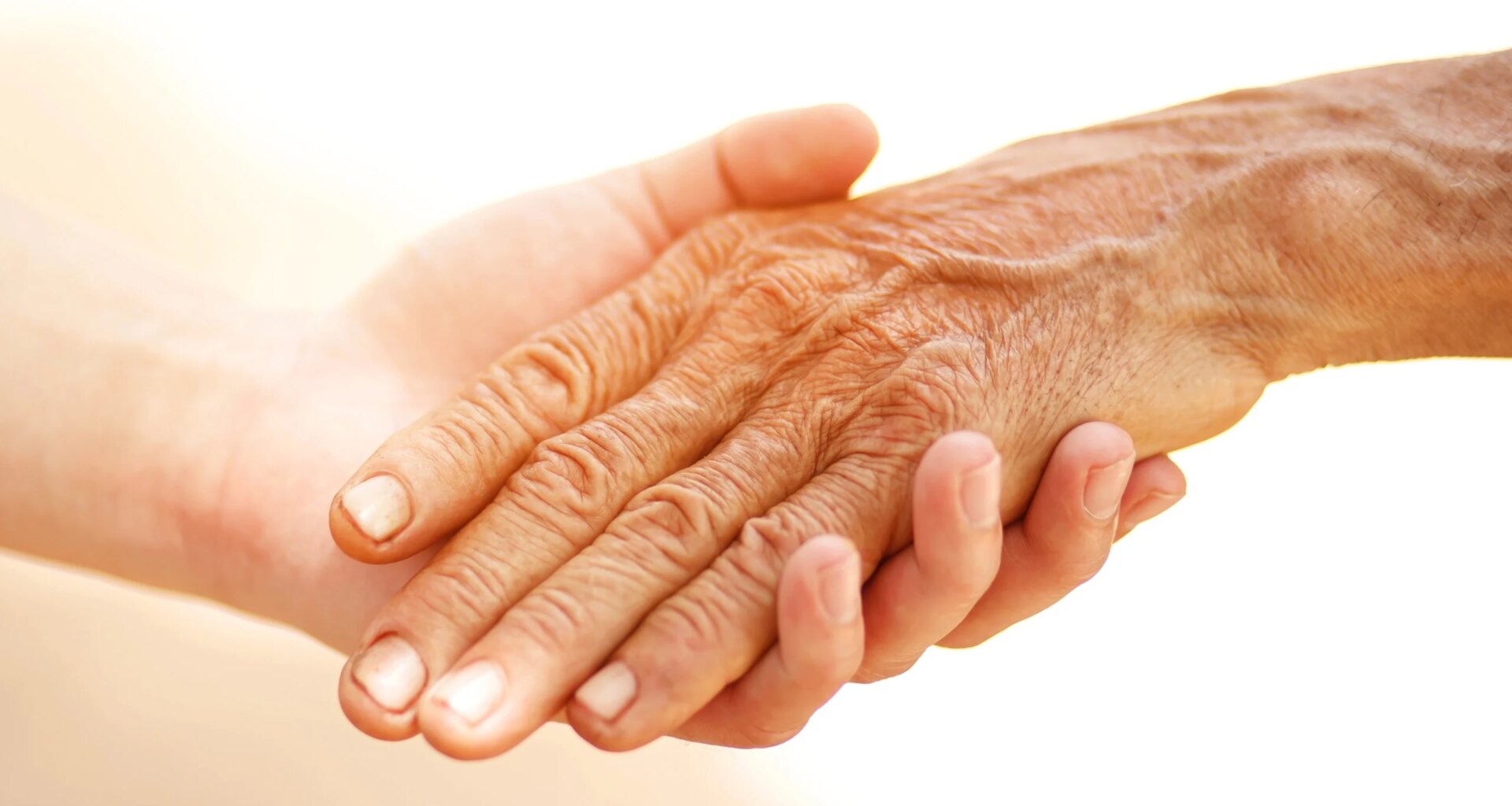 One Critical Factor Predicts Longevity Better Than Diet or Exercise, Study Reveals : ScienceAlert