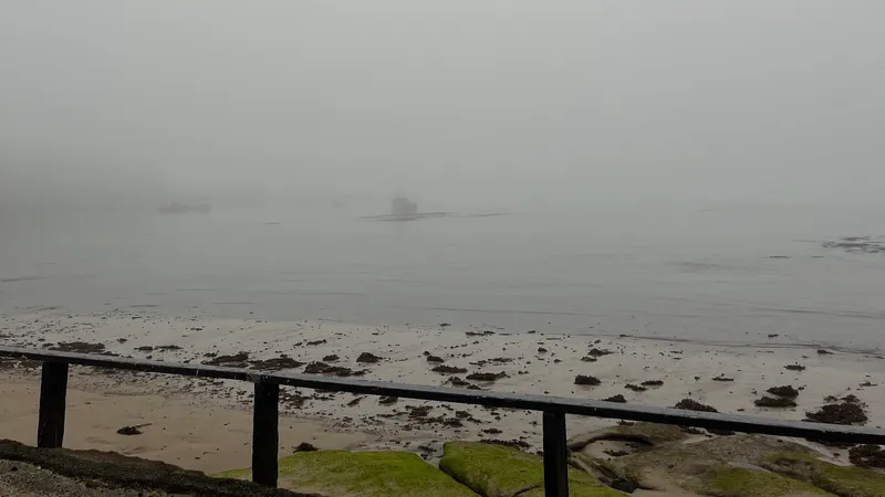 The Chatham island's famous mist blends the sea and sky into one. (Photo: Lyric Waiwiri-Smith/The Spinoff)