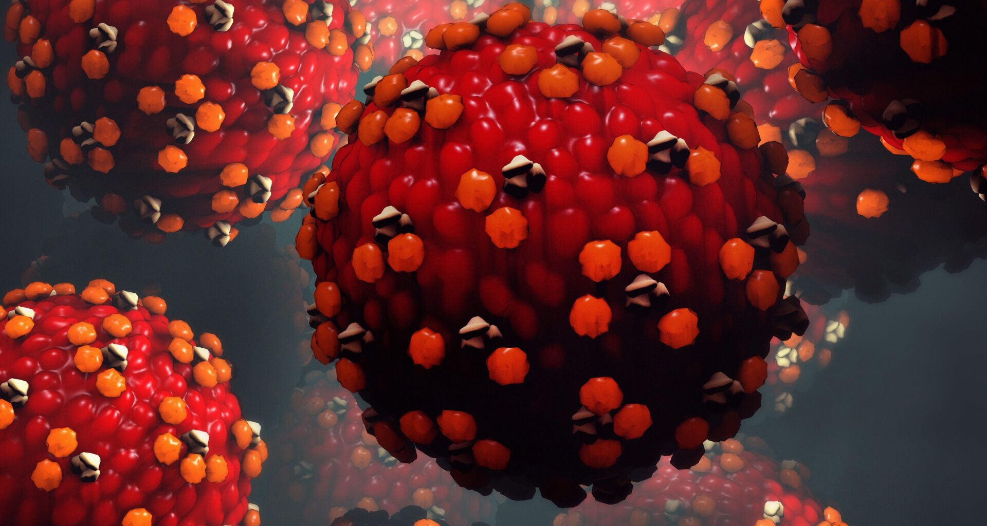 A rendering of the measles virus.