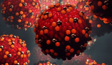 A rendering of the measles virus.