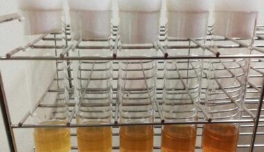 Fruit fly studies back Japanese saying about eating in moderation