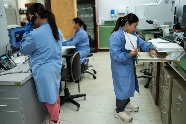 Staff from the Philippines work in the laboratory at West River Hospital.