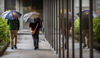 Two people walk under umbrellas next to the side of a building. They are seen from behind.
