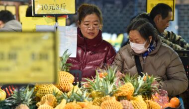 China PPI rise fastest since June 2022 on fuel costs