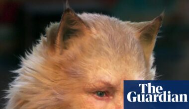 ‘Oh God, I can’t bear it’: Judi Dench says Cats film was ‘a waste of goodwill and talent’ | Movies