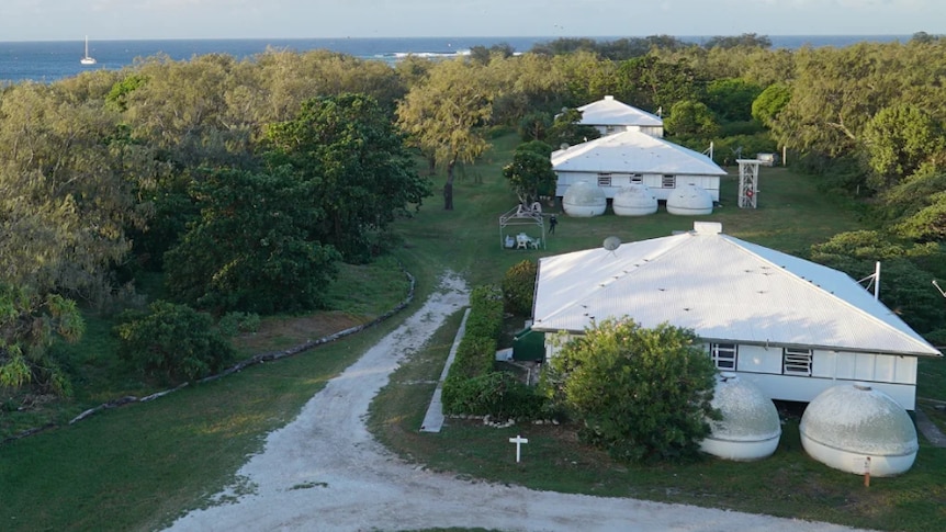 Houses are now surrounded by shrubs, trees and grass.