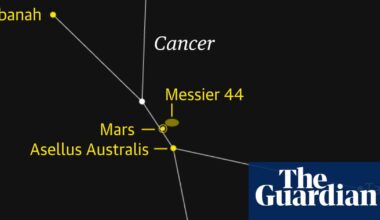 Starwatch: Mars signposts the beautiful Beehive cluster | Astronomy
