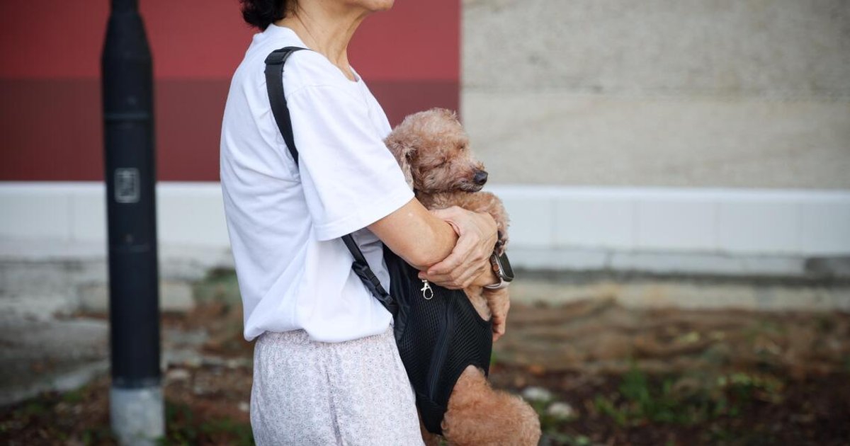 Middle-aged women in S’pore anxiety survey findings