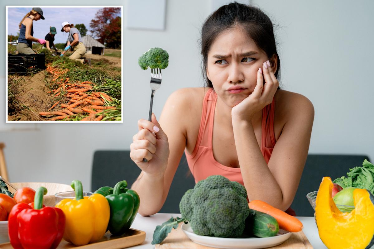 Fruits and vegetables 50% less nutritious than in the 1960s, new study finds