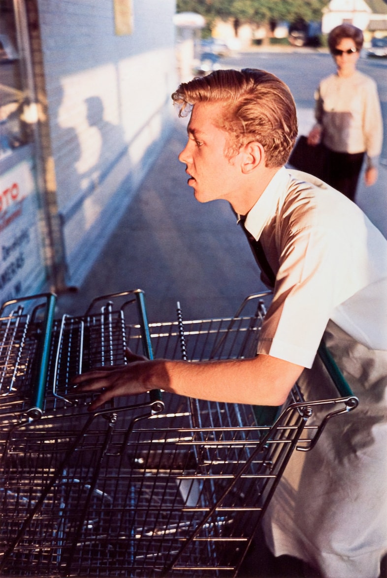 William Eggleston: All That Goes Unnoticed
