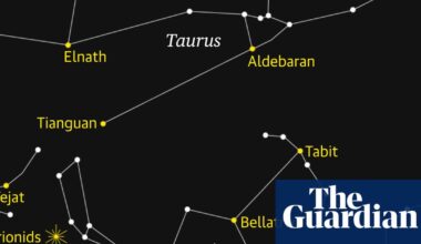 Starwatch: Catch the Orionid meteor shower streak across the night sky | Science