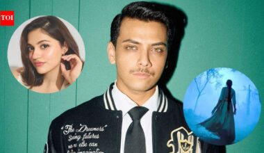 Aneet Padda starrer 'Shakti Shalini' postponed to 2027 to avoid Shah Rukh Khan’s King clash? Co-star Vishal Jethwa says, ‘Maine bhi sune hain rumours’ | Hindi Movie News
