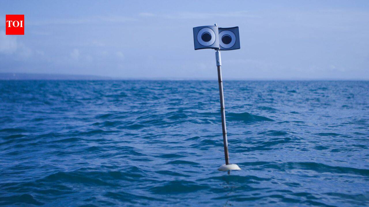 Scientists put a floating ‘scarecrow’ beside fishing nets; the device cut seabird bycatch by 59%, while a kite cut it by 71% |
