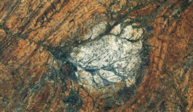 Moon-Like Madagascar - NASA Science