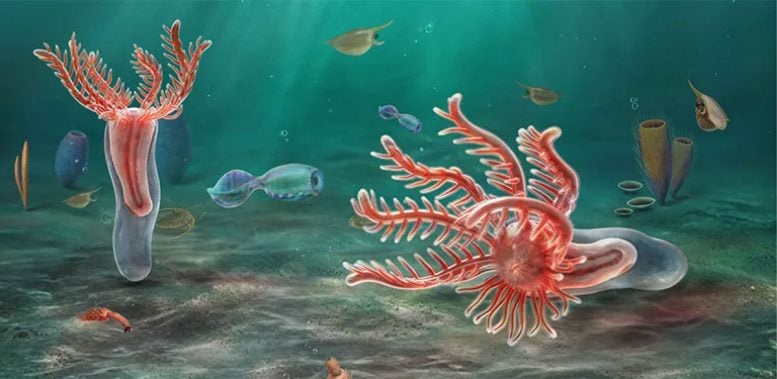 Yujingia Glutenotunica