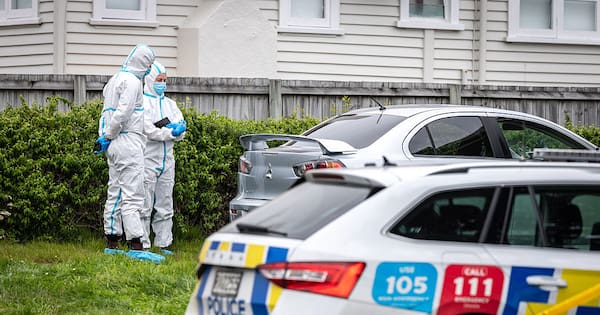 Two children identified among three found dead in Papatoetoe