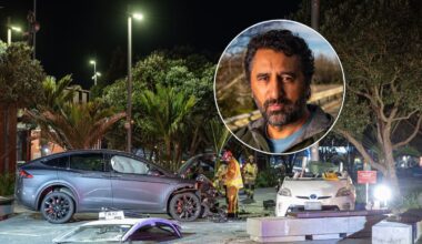 Hollywood star Cliff Curtis to appear in court over waterfront crash