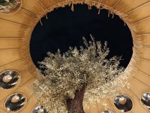 Primary camera, 50MP (High resolution), 1x magnification (23mm, f/1.9, ISO 1046, 1/50s, 8192x6144px)