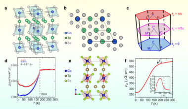 Establishment of altermagnetic crystal and magnetic structure in Co1/4TaSe2. Image credit: Sprague et al., doi: 10.1038/s41467-026-76784-x.