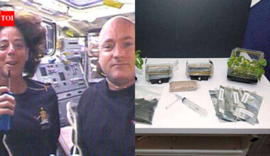 NASA sent 10 million cinnamon basil seeds into orbit aboard Endeavour in 2007; the project brought space-flown seeds into classrooms and helped nearly 1 million students test plant-growing designs