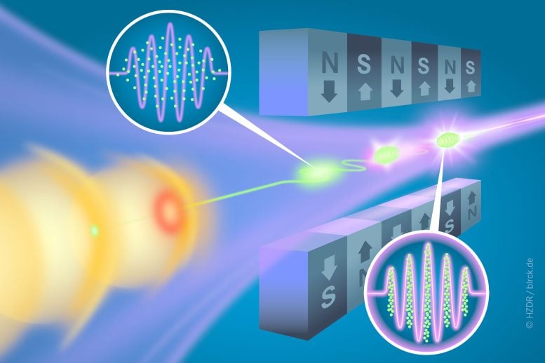 Illustration of Laser Plasma Accelerator Driving FEL Radiation