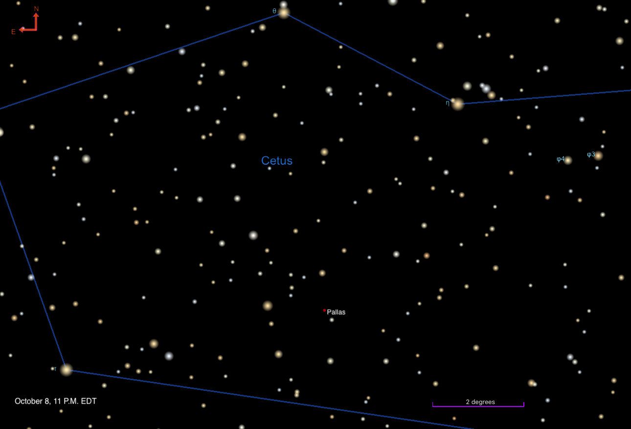 Star chart of the constellation Cetus outlined in blue with labeled stars theta, eta, phi4, phi3, and tau, dated October 8, 2026, 11 P.M. EDT. The asteroid Pallas is marked as a small red dot near the center of the constellation among numerous pale yellow and white field stars. A compass arrow indicates north and east at upper left, and a 2 degree scale bar sits at lower right.