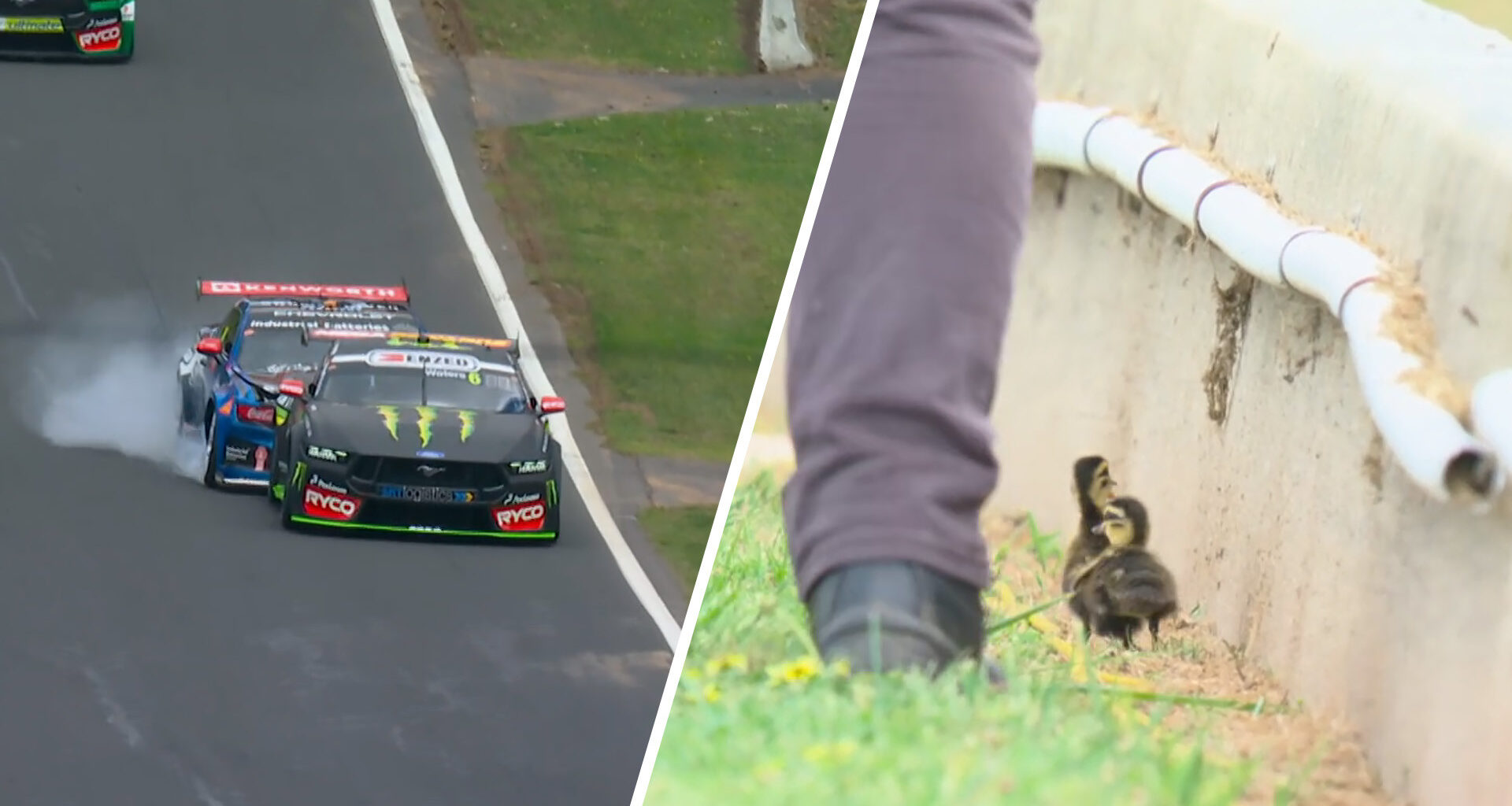 Supercars news: Rogue ducks trigger clash between Supercars champions