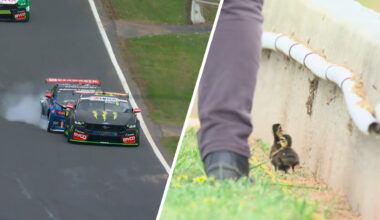 Supercars news: Rogue ducks trigger clash between Supercars champions