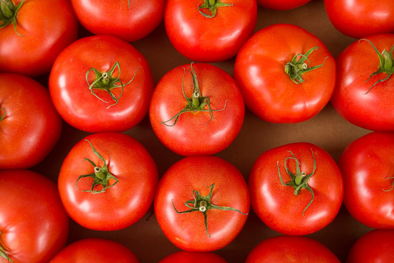 Experts say the jump in tomato prices was partly due to Trump administration immigration policies.
